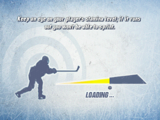 Hockey Nations 2010 (Android) screenshot: Loading screen