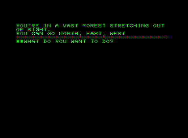 Sorcerer's Castle Adventure (Commodore PET/CBM) screenshot: ANOTHER forest!?!