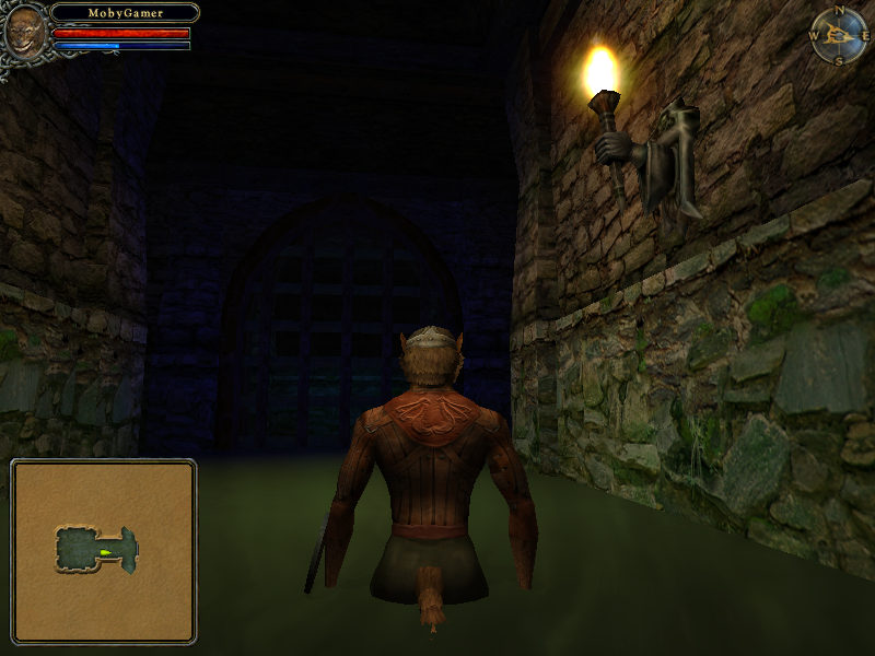 Dungeon Lords (Windows) screenshot: Standing deep in sewer water. My tail is wet. An interestingly shaped torch is ahead