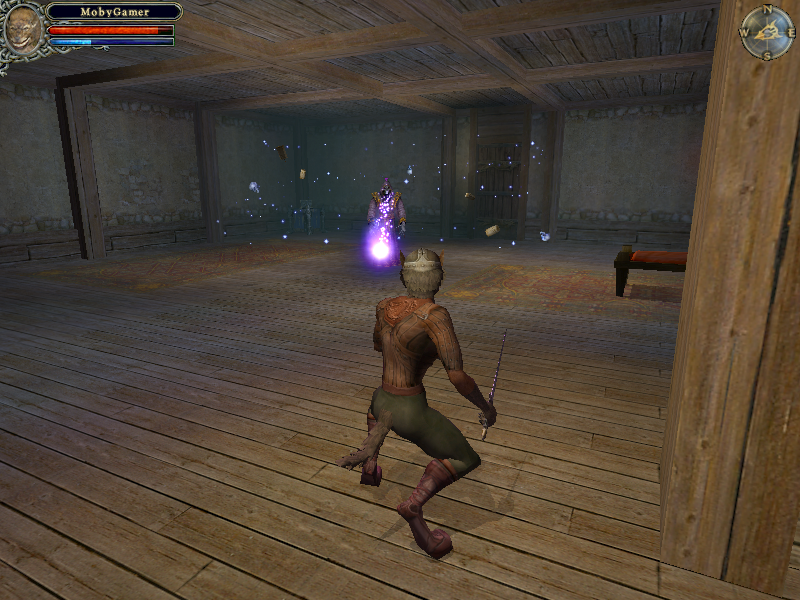 Dungeon Lords (Windows) screenshot: Ambushed by a maniacal energy ball-hurling ghostly wizard in someone's house