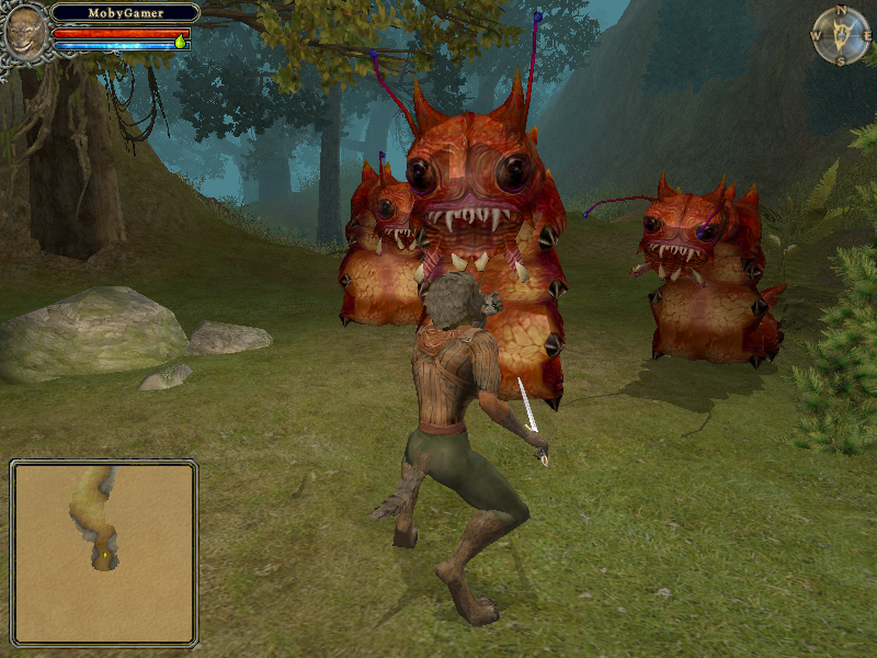 Dungeon Lords (Windows) screenshot: No forest path is safe. You never know when such strange, but impressive creatures are going to surprise you