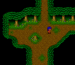 Cosmic Fantasy 4: Ginga Shōnen Densetsu - Totsunyū-hen (TurboGrafx CD) screenshot: The first dungeon in the game is a forest maze: it is actually more fun than it sounds