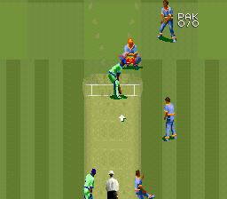 Super International Cricket (SNES) screenshot: Gameplay.