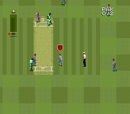 Super International Cricket (SNES) screenshot: "Zoom out".