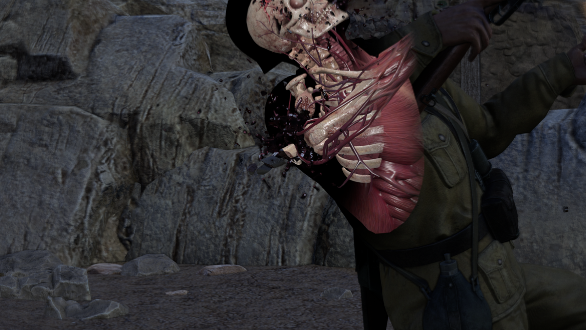 Sniper Elite III: Afrika (Windows) screenshot: Shoulder trauma, NBD