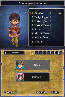 <small>Dragon Quest IX: Sentinels of the Starry Skies (Nintendo DS) screenshot:</small><br> Why does the default male avatar have normal hair but not the default female.