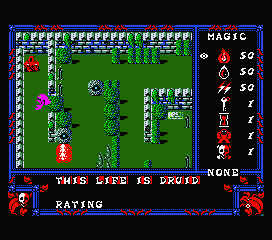 Druid (MSX) screenshot: Start of the game