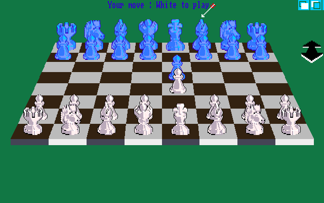 Art of Chess (Amiga) screenshot: Different colour