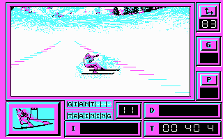 Downhill Challenge (DOS) screenshot: Could you stand?...