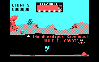 Road Runner (DOS) screenshot: Introducing Wile E. Coyote (CGA)