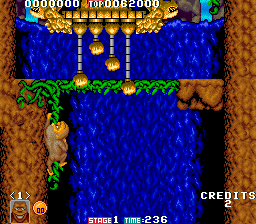Toki (Arcade) screenshot: Liana climbing