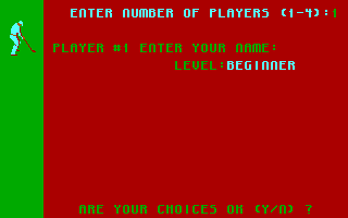 California Pro Golf (DOS) screenshot: Choice (CGA)