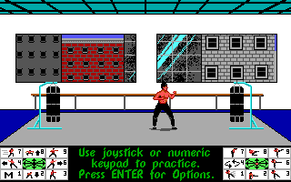 Bruce Lee Lives (DOS) screenshot: Begin the Training (EGA)
