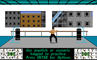 Bruce Lee Lives (DOS) screenshot: Begin the Traing (VGA)