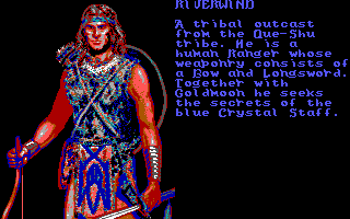 Heroes of the Lance (DOS) screenshot: Presentation of heroes - Ri Verwind (EGA)
