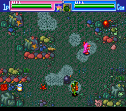 Travel Epule (TurboGrafx CD) screenshot: Battle in an exotic field. This guy can teleport easily