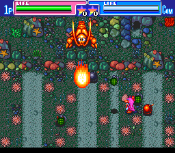 Travel Epule (TurboGrafx CD) screenshot: Boss battle against a stupid fire-breathing spider... or whatever it is