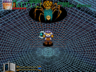 Wizard Fire (Arcade) screenshot: Spider web