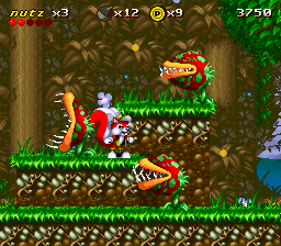 Mr. Nutz (SNES) screenshot: Deadly flowers