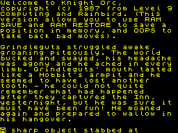 Knight Orc (ZX Spectrum) screenshot: Awoken.