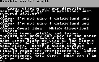 The Quest (DOS) screenshot: Direction : North