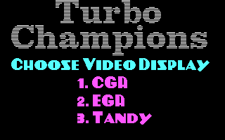 Turbo Champions (DOS) screenshot: Choose video display