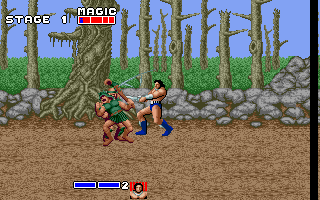 Golden Axe (DOS) screenshot: Fighting