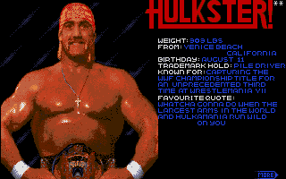 WWF Wrestlemania (Atari ST) screenshot: Choose your fighter.