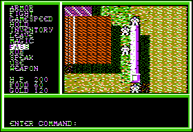 Legacy of the Ancients (Apple II) screenshot: Arrival in Thornberry.