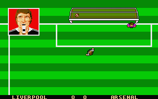 Gary Lineker's Hot-Shot! (Atari ST) screenshot: That's a goal