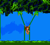 Disney's Tarzan (Game Boy Color) screenshot: Moving on creepers