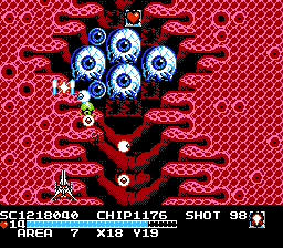 The Guardian Legend (NES) screenshot: Hey, don't look at me like that!