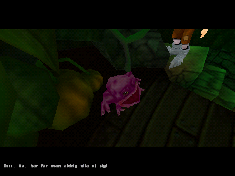Olivers äventyr: Drakens förbannelse (Windows) screenshot: The wizard's toad
