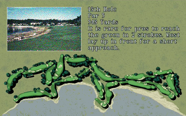 Pebble Beach Golf Links (PC-98) screenshot: 18th hole