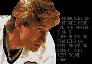 Wayne Gretzky and the NHLPA All-Stars (Genesis) screenshot: Settings