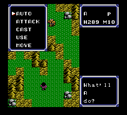 Ultima IV: Quest of the Avatar (NES) screenshot: First fight