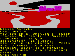 Red Moon (ZX Spectrum) screenshot: At a sheep trail.