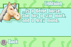 Barbie Horse Adventures: Blue Ribbon Race (Game Boy Advance) screenshot: Horse info