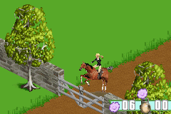 Barbie Horse Adventures: Blue Ribbon Race (Game Boy Advance) screenshot: Nope, you can't jump over that