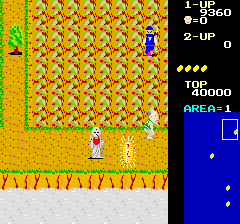 Ikki (Arcade) screenshot: Get the shiny item.