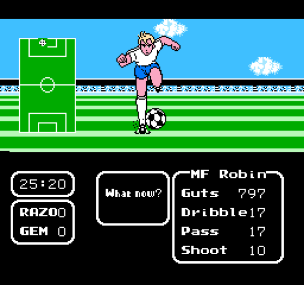 Tecmo Cup: Soccer Game (NES) screenshot: The star of the game, Robin, in front of goal.