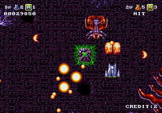 Battle Squadron (Genesis) screenshot: This is fire-power!