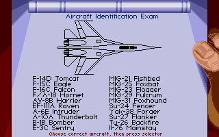 F-19 Stealth Fighter (Amiga) screenshot: You need to pass the aircraft identification exam aka copy protection.