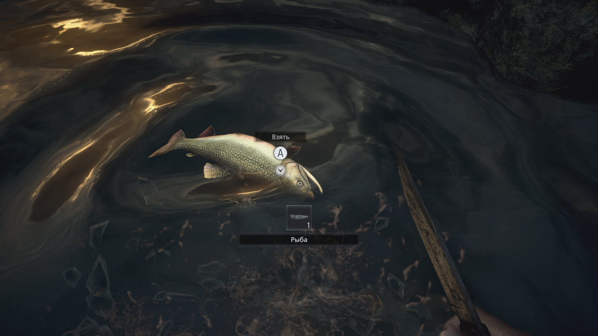 Re8 Fish Screenshot of Resident Evil: Village (Windows, 2021) - MobyGames