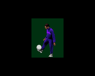 3D World Soccer (Amiga) screenshot: Short introductory animation