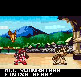 Samurai Shodown! 2: Pocket Fighting Series (Neo Geo Pocket Color) screenshot: The famous pre-battle "dialogue" is present too.