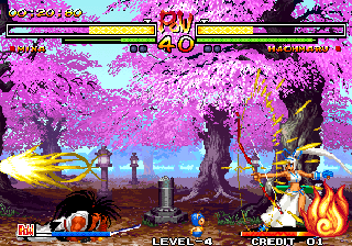 Samurai Shodown V (Arcade) screenshot: Mina missed.