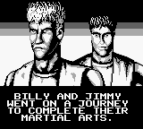 Double Dragon 3: The Rosetta Stone (Game Boy) screenshot: Story