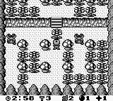 Bomber Man GB 3 (Game Boy) screenshot: Flowers walls
