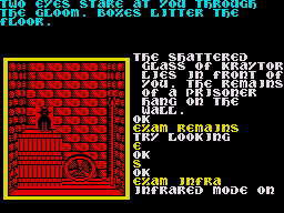 Souls of Darkon (ZX Spectrum) screenshot: Infrared is needed to see in this room.